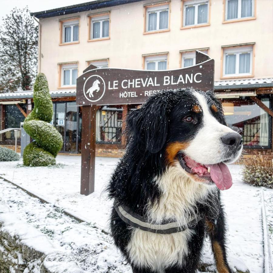 Le Cheval Blanc - Logis Hotel Giffaumont-Champaubert Buitenkant foto